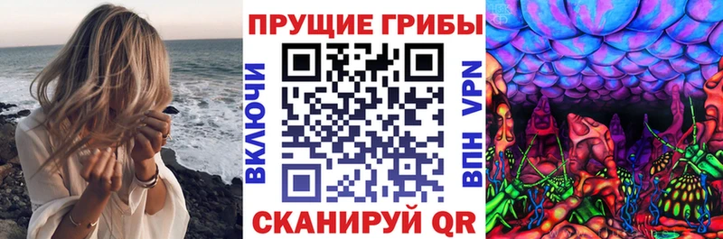 Галлюциногенные грибы прущие грибы  мега зеркало  Приволжский  наркота 
